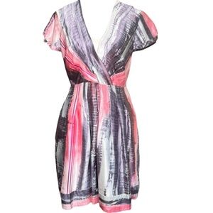 Walter Baker Fit And Flare Mini Dress 100% Silk V-neck Pink Gray 4 Watercolor
